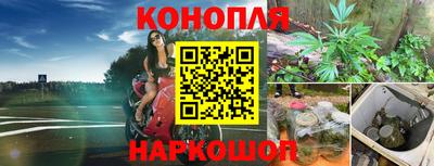 PSILOCYBIN Ирбит