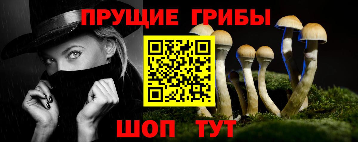 Галлюциногенные грибы Cubensis  Вход с VPN  Галлюциногенные грибы прущие грибы  Кудымкар 